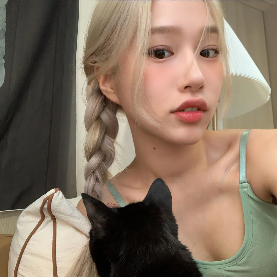 奈何前夫非要娶我